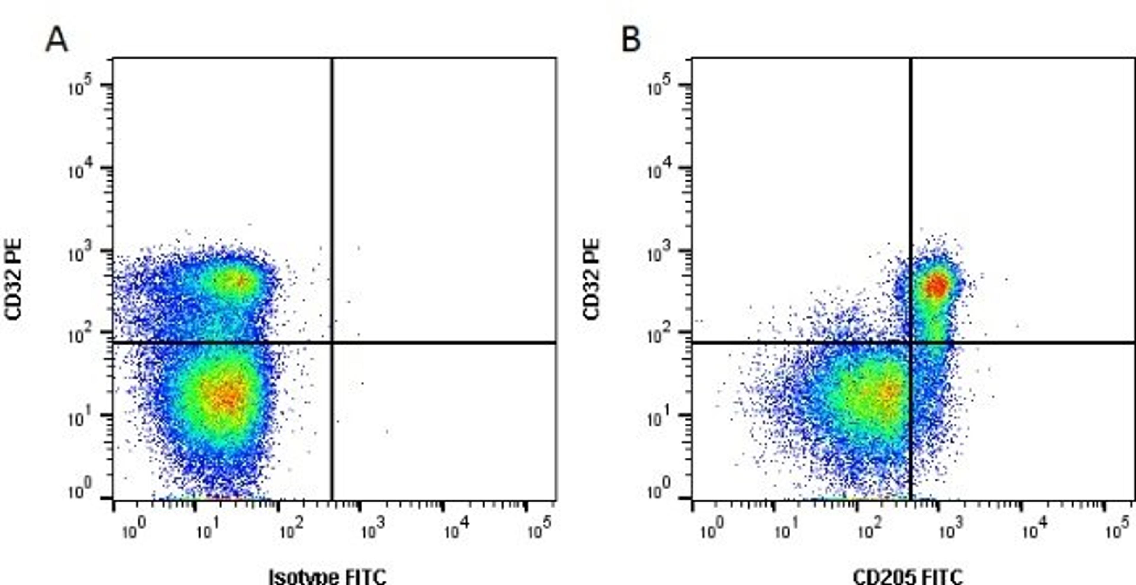 Figure A. mouse anti bovine CD205. Figure B. mouse anti bovine CD205 and mouse anti bovine CD32
