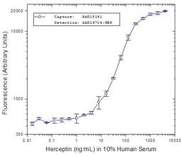 Herceptin® bridging ELISA using Human anti Herceptin® as the coating antibody