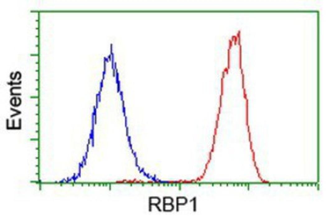 Flow Cytometry: Retinol Binding Protein RBP Antibody (2H3) [NBP2-00637] - Analysis of Hela cells, using anti-Retinol Binding Protein RBP antibody, (Red), compared to a nonspecific negative control antibody (Blue).