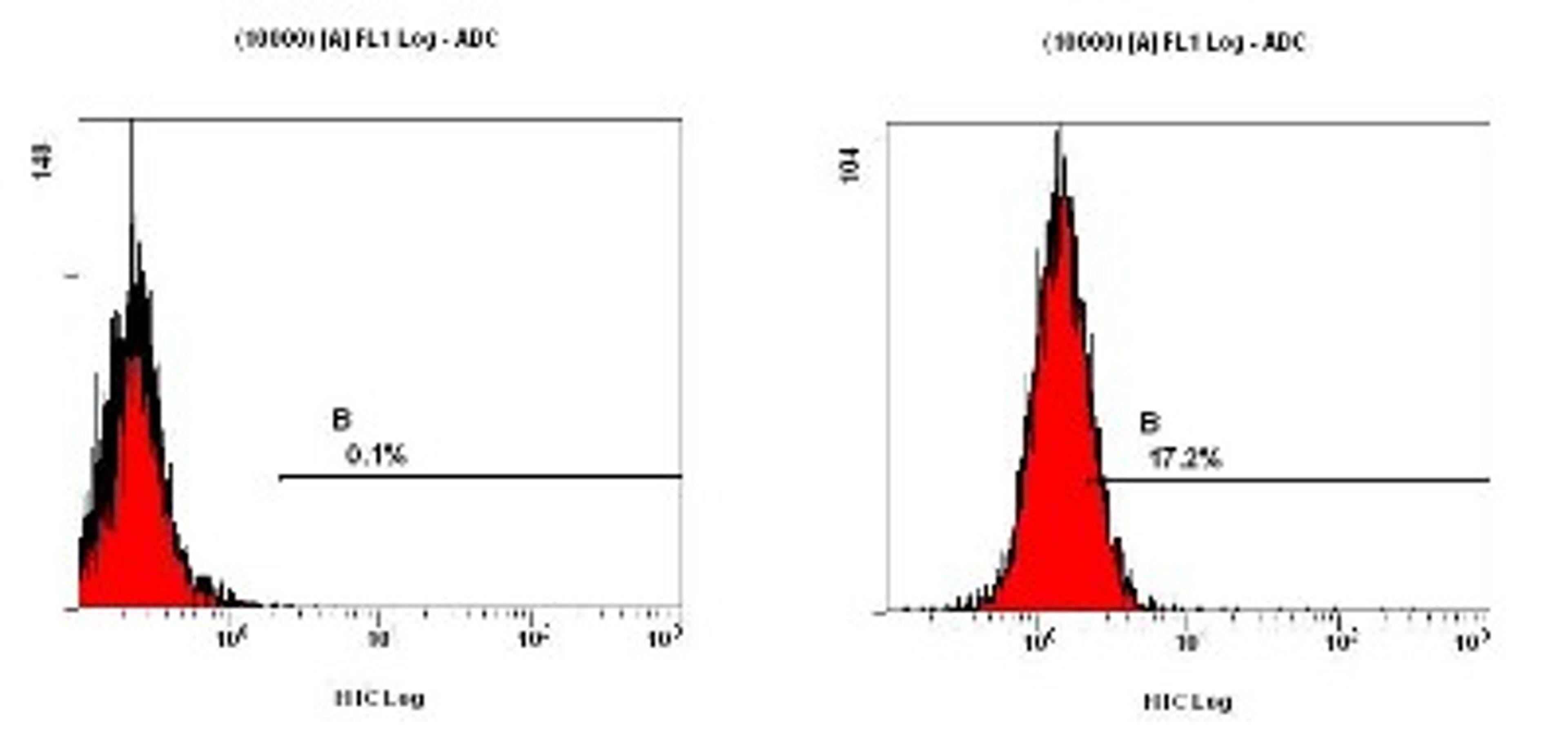 Flow Cytometry: Sodium Potassium ATPase Alpha 1 Antibody (464.6) [NB300-146] - Detection of Sodium Potassium ATPase Alpha 1 in fixed Hela cells.