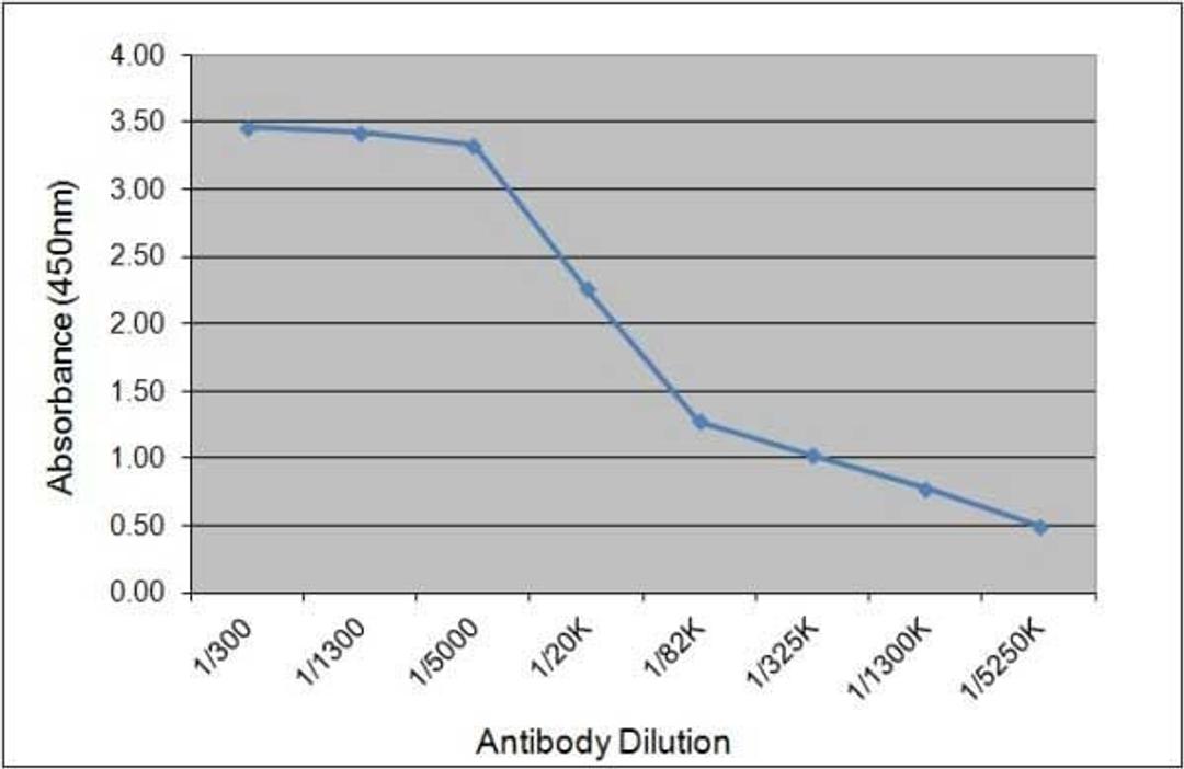 Recombinant Human IgE (HCA171) used as an antigen in an indirect ELISA
