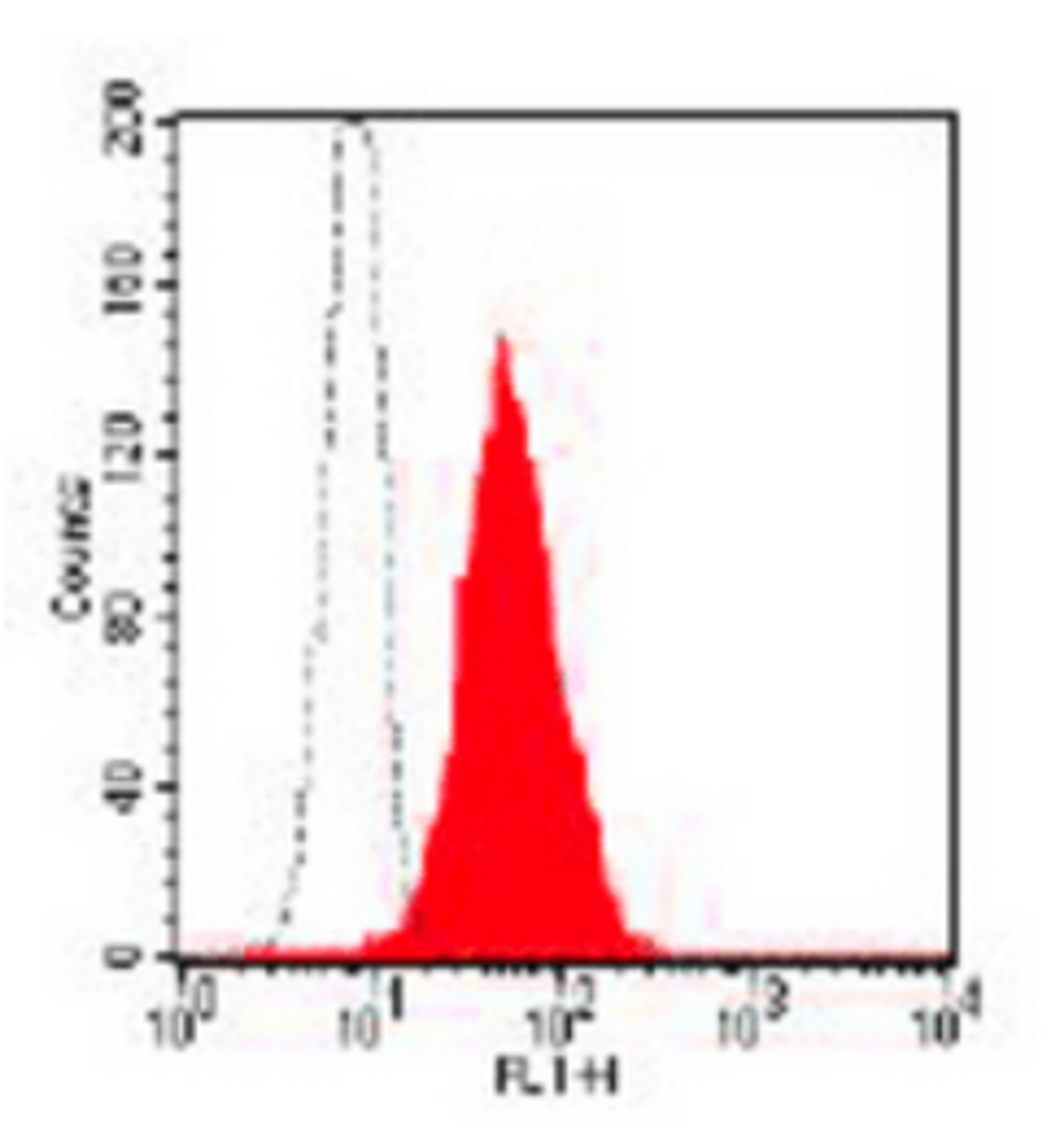 Flow cytometric analysis of REH cells using CD10 antibody (FITC)