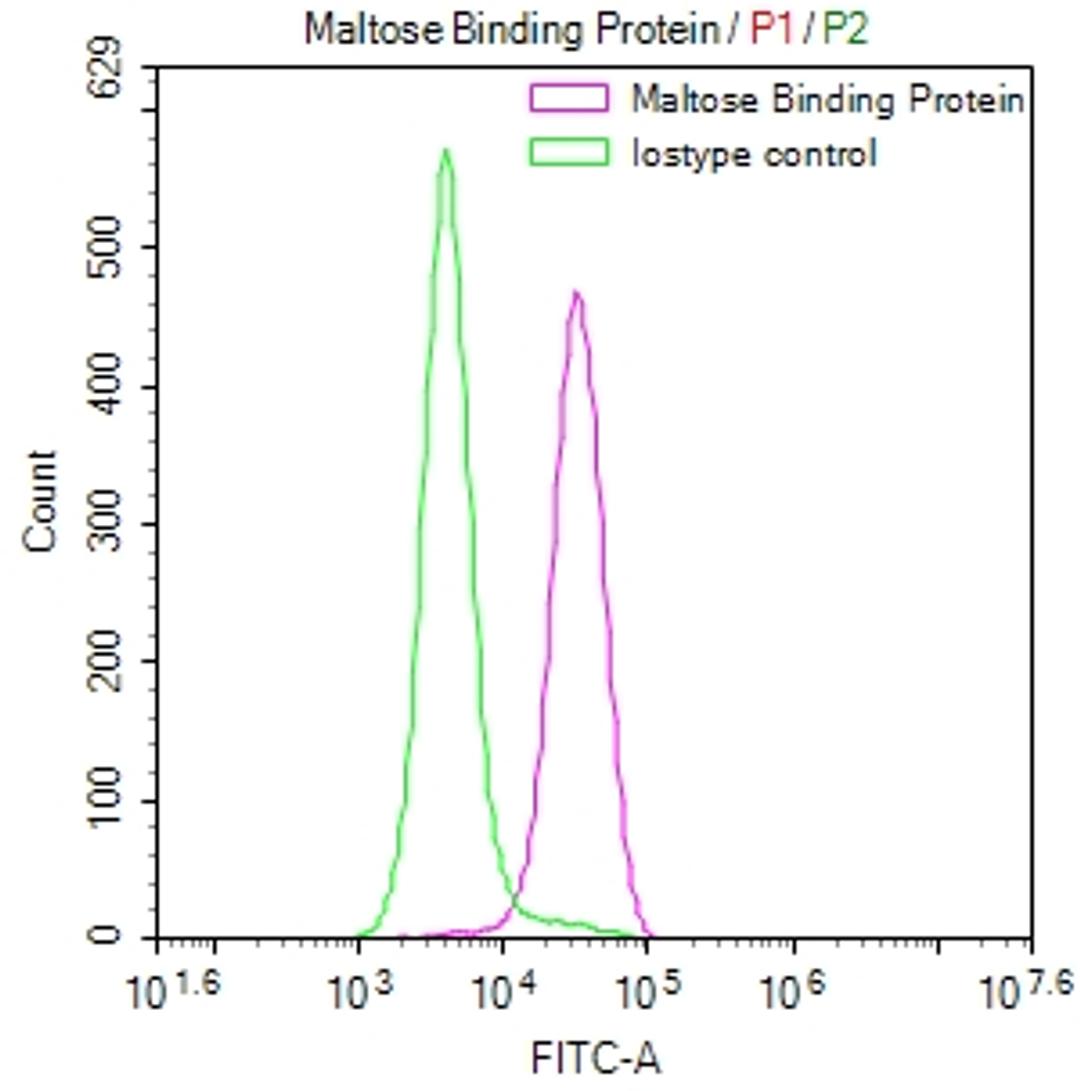 Overlay Peak curve showing SH-SY5Y cells stained with CSB-RA846828A0ENV (red line) at 1:50. The cells were fixed in 4% formaldehyde and permeated by 0.2% TritonX-100. Then 10% normal goat serum to block non-specific protein-protein interactions followed by the antibody (1µg/1*10<sup>6</sup>cells) for 45min at 4℃. The secondary antibody used was FITC-conjugated Goat Anti-rabbit IgG(H+L) at 1:200 dilution for 35min at 4℃.Control antibody (green line) was rabbit IgG (1µg/1*10<sup>6</sup>cells) used under the same conditions. Acquisition of >10,000 events was performed.