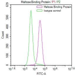 Overlay Peak curve showing SH-SY5Y cells stained with CSB-RA846828A0ENV (red line) at 1:50. The cells were fixed in 4% formaldehyde and permeated by 0.2% TritonX-100. Then 10% normal goat serum to block non-specific protein-protein interactions followed by the antibody (1µg/1*10<sup>6</sup>cells) for 45min at 4℃. The secondary antibody used was FITC-conjugated Goat Anti-rabbit IgG(H+L) at 1:200 dilution for 35min at 4℃.Control antibody (green line) was rabbit IgG (1µg/1*10<sup>6</sup>cells) used under the same conditions. Acquisition of >10,000 events was performed.