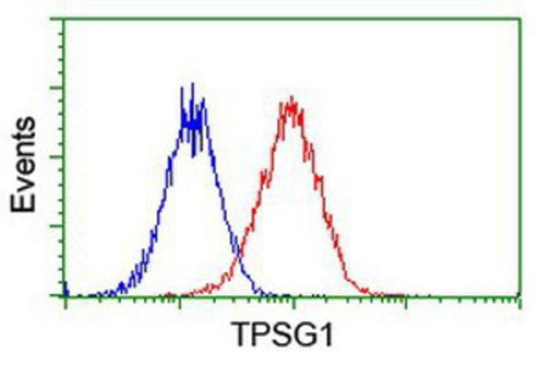 Flow Cytometry: Tryptase gamma Antibody (1G1) [NBP2-01679] - Analysis of Hela cells, using anti-Tryptase gamma antibody, (Red), compared to a nonspecific negative control antibody (Blue).