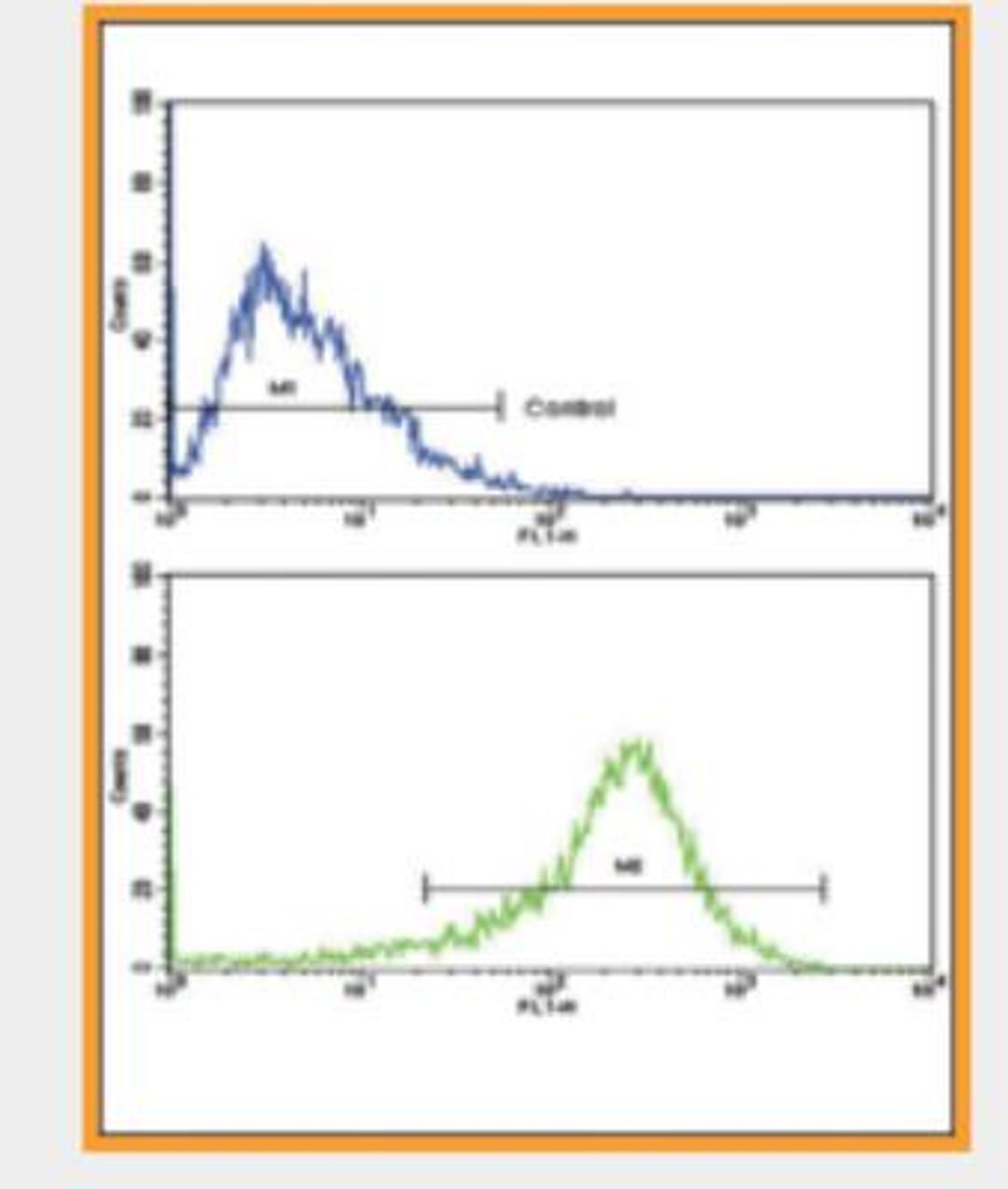 Flow Cytometry: pIgR Antibody [NBP2-29929] - Analysis of HepG2 cells using PIGR Antibody (C-term)(bottom histogram) compared to a negative control cell (top histogram). FITC-conjugated goat-anti-rabbit secondary antibodies were used for the analysis.