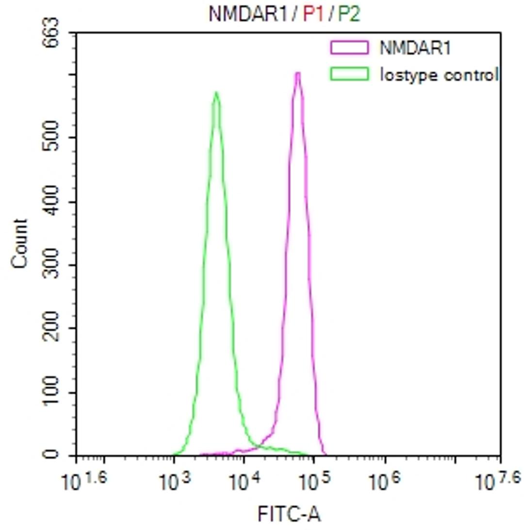 Overlay Peak curve showing SH-SY5Y cells stained with CSB-RA904344A0HU (red line) at 1:50. The cells were fixed in 4% formaldehyde and permeated by 0.2% TritonX-100. Then 10% normal goat serum to block non-specific protein-protein interactions followed by the antibody (1µg/1*10<sup>6</sup>cells) for 45min at 4℃. The secondary antibody used was FITC-conjugated Goat Anti-rabbit IgG(H+L) at 1:200 dilution for 35min at 4℃.Control antibody (green line) was rabbit IgG (1µg/1*10<sup>6</sup>cells) used under the same conditions. Acquisition of >10,000 events was performed.
