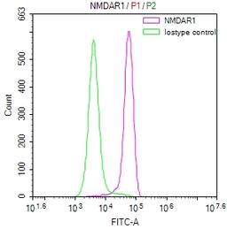 Overlay Peak curve showing SH-SY5Y cells stained with CSB-RA904344A0HU (red line) at 1:50. The cells were fixed in 4% formaldehyde and permeated by 0.2% TritonX-100. Then 10% normal goat serum to block non-specific protein-protein interactions followed by the antibody (1µg/1*10<sup>6</sup>cells) for 45min at 4℃. The secondary antibody used was FITC-conjugated Goat Anti-rabbit IgG(H+L) at 1:200 dilution for 35min at 4℃.Control antibody (green line) was rabbit IgG (1µg/1*10<sup>6</sup>cells) used under the same conditions. Acquisition of >10,000 events was performed.