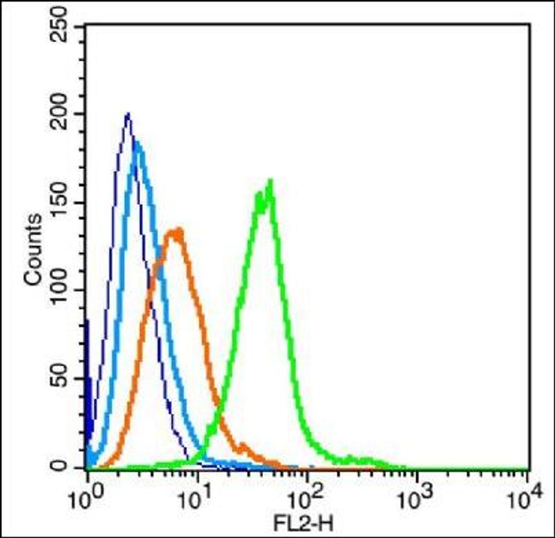 Flow cytometric analysis of Raji cell using IL18 Receptor alpha antibody.