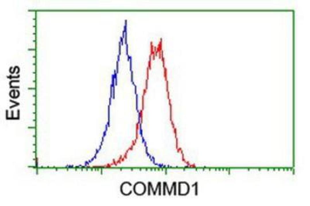 Flow Cytometry: COMMD1 Antibody (1F2) [NBP2-03755] - Analysis of Jurkat cells, using anti-COMMD1 antibody, (Red), compared to a nonspecific negative control antibody (Blue).