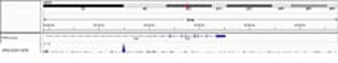 Localization of IRF8 binding sites by ChIP-Sequencing.