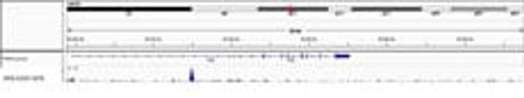 Localization of IRF8 binding sites by ChIP-Sequencing.