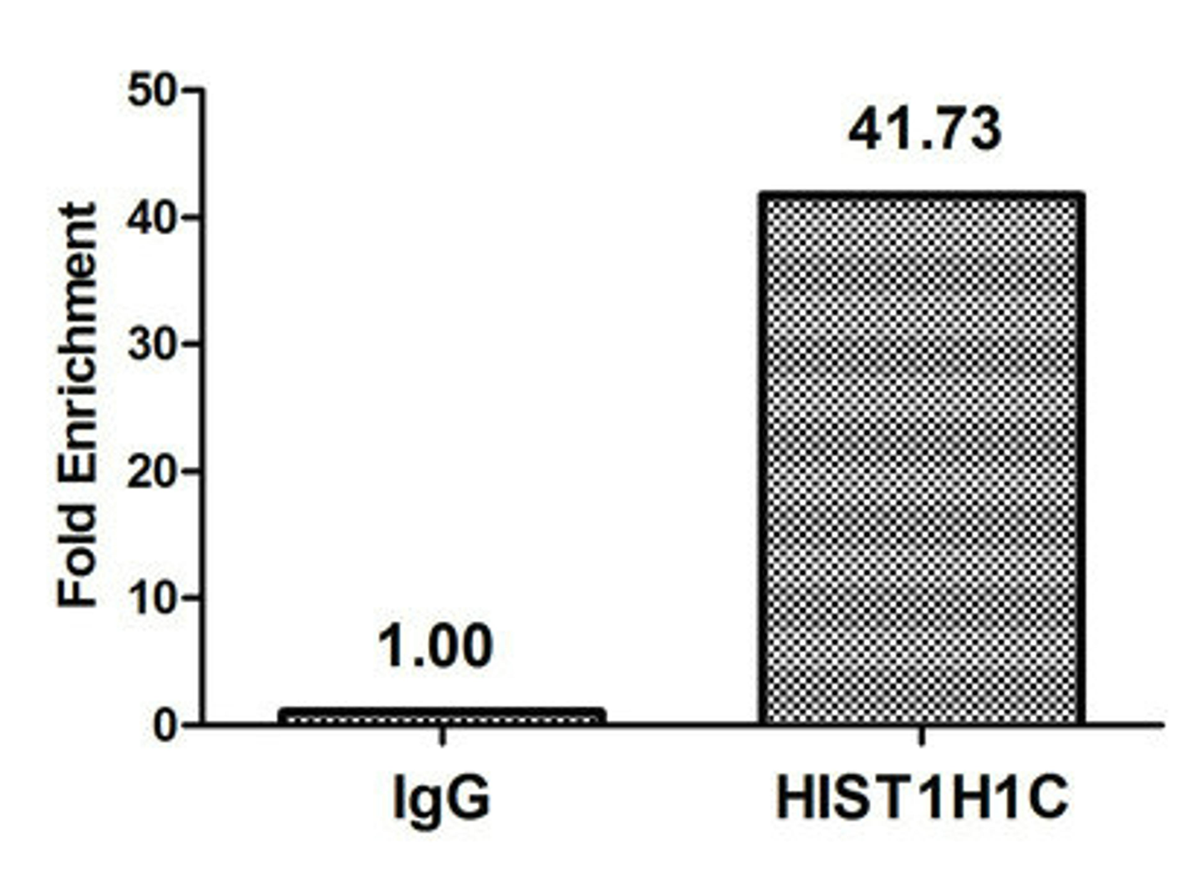 Chromatin Immunoprecipitation Hela (10<sup>6</sup>, treated with 30mM sodium butyrate for 4h) were treated with Micrococcal Nuclease, sonicated, and immunoprecipitated with 5µg anti-HIST1H1C (CSB-PA010378OA80hibHU) or a control normal rabbit IgG. The resulting ChIP DNA was quantified using real-time PCR with primers against the β-Globin promoter.