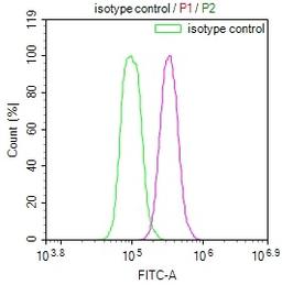 Overlay Peak curve showing Hela cells stained with CSB-RA886298A0HU (red line) at 1:100. The cells were fixed in 4% formaldehyde and permeated by 0.2% TritonX-100. Then 10% normal goat serum to block non-specific protein-protein interactions followed by the antibody (1ug/1*10<sup>6</sup>cells) for 45min at 4℃. The secondary antibody used was FITC-conjugated Goat Anti-rabbit IgG(H+L) at 1:200 dilution for 35min at 4℃.Control antibody (green line) was rabbit IgG (1ug/1*10<sup>6</sup>cells) used under the same conditions. Acquisition of >10,000 events was performed.