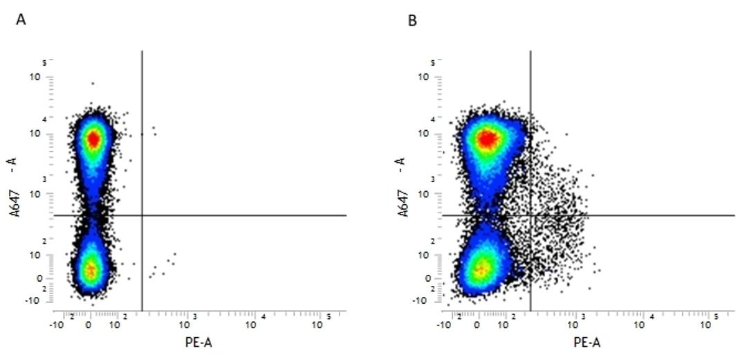 Figure A. rat anti mouse CD11b. Figure B. rat anti mouse CD11b and rat anti mouse CD117. 