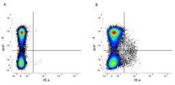 Figure A. rat anti mouse CD11b. Figure B. rat anti mouse CD11b and rat anti mouse CD117. 