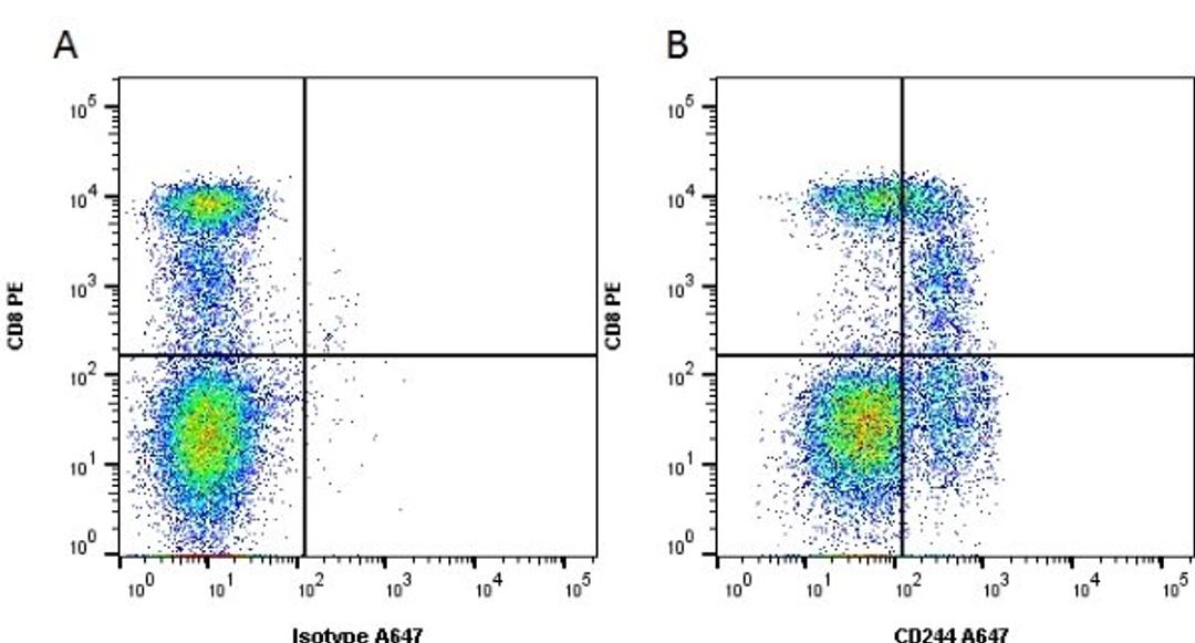 Figure A. mouse anti human CD8. Figure B. mouse anti human CD8 and mouse anti human CD244. 