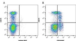 Figure A. mouse anti human CD8. Figure B. mouse anti human CD8 and mouse anti human CD244. 