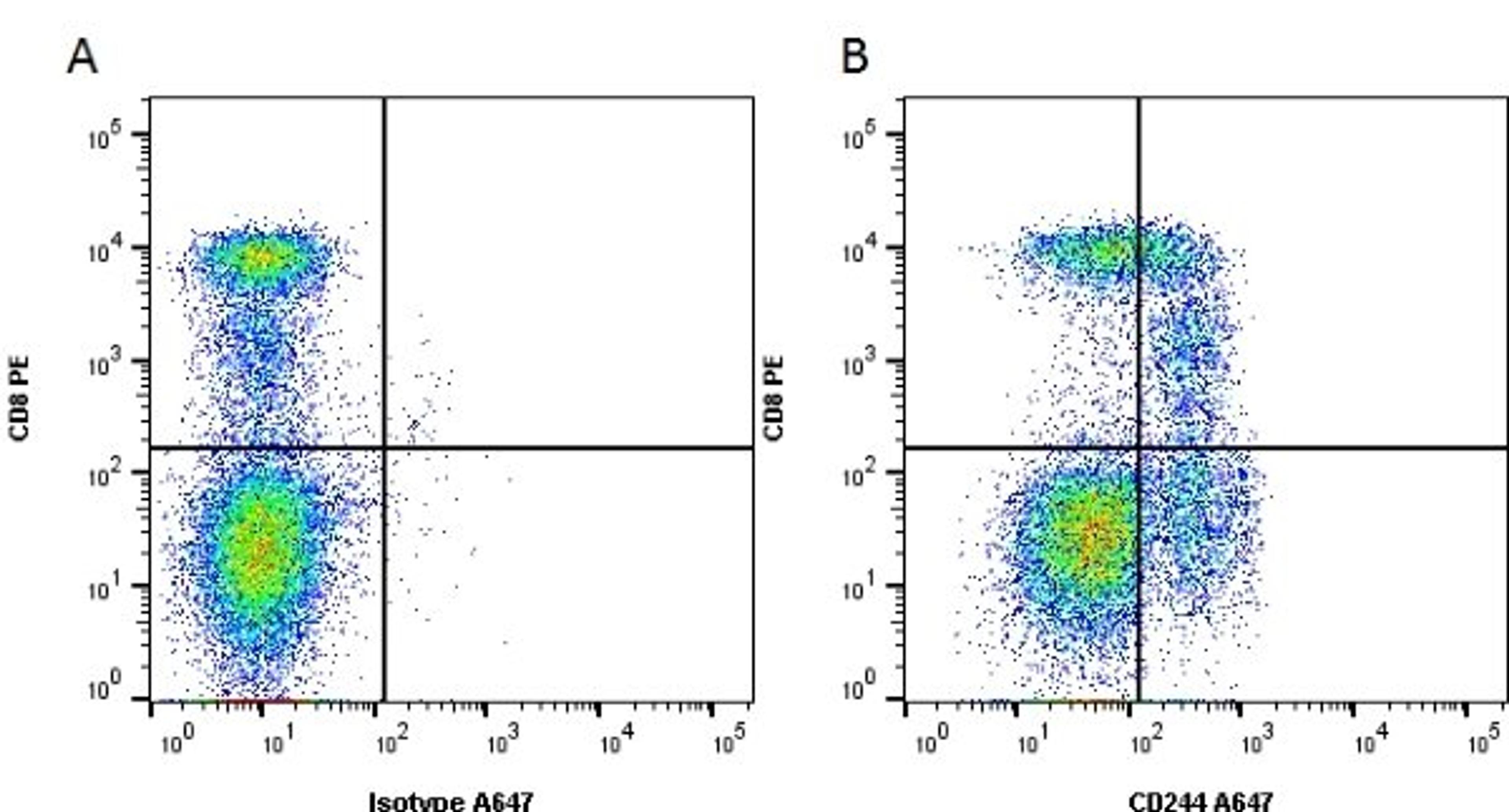 Figure A. mouse anti human CD8. Figure B. mouse anti human CD8 and mouse anti human CD244.