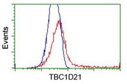 Flow Cytometry: TBC1D21 Antibody (2A6) [NBP2-01311] - HEK293T cells transfected with either overexpression plasmid (Red) or empty vector control plasmid (Blue) were immunostained by anti-TBC1D21 antibody, and then analyzed by flow cytometry.