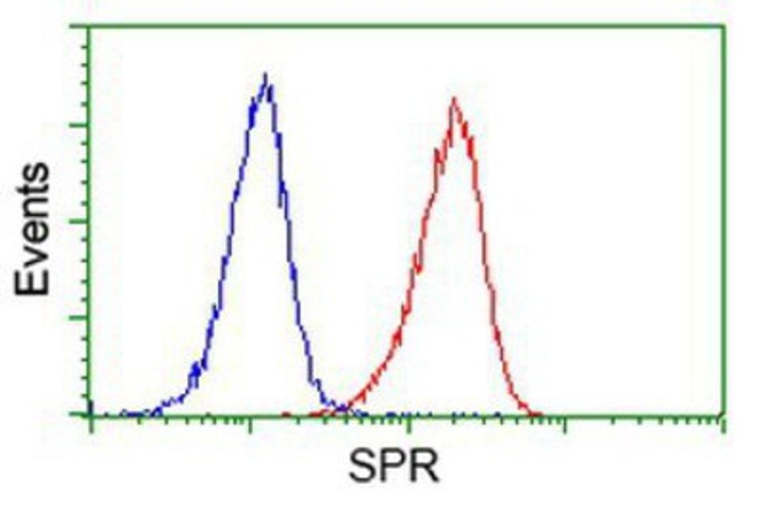 Flow Cytometry: SPR Antibody (4F5) [NBP2-03256] - Analysis of Jurkat cells, using anti-SPR antibody, (Red), compared to a nonspecific negative control antibody (Blue).