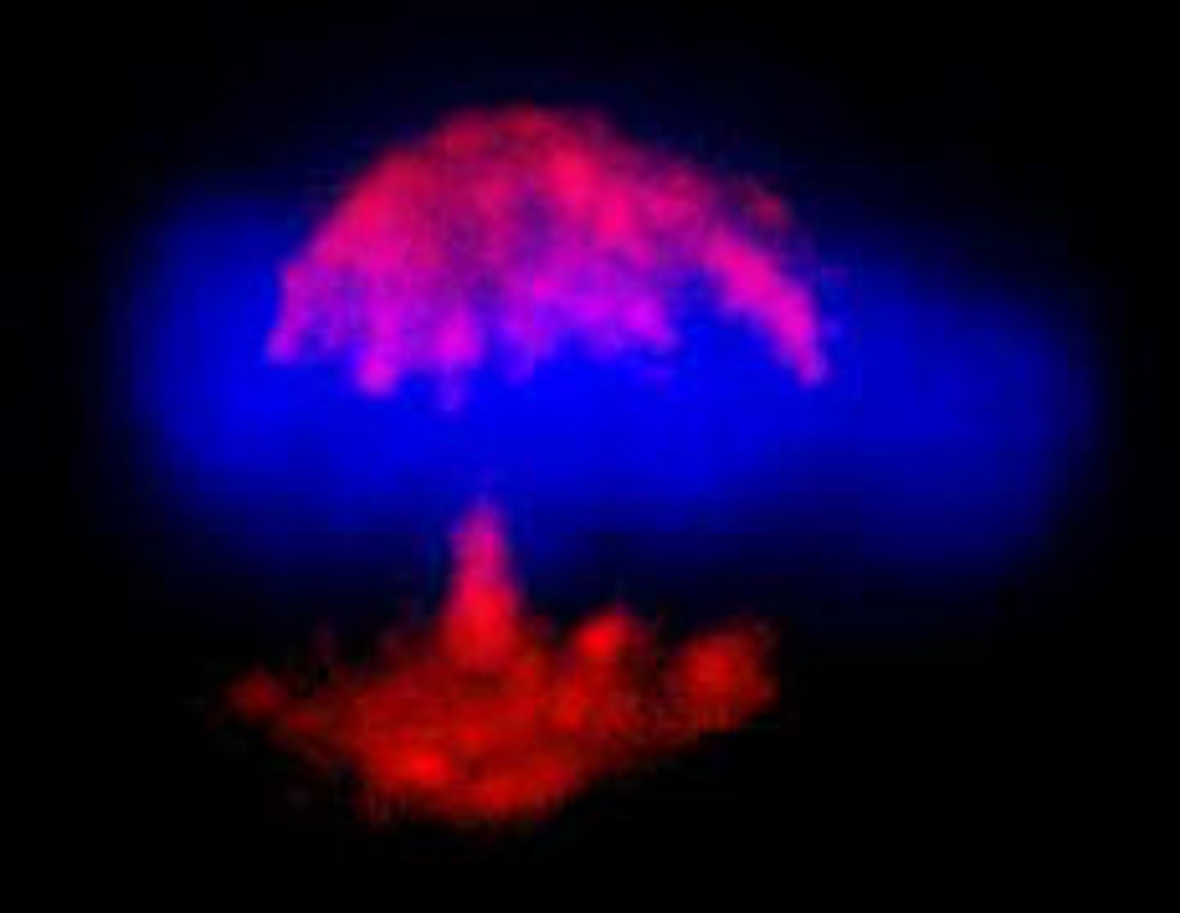 Detection of human TPX2 by immunocytochemistry.