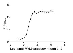 The Binding Activity of Human MYL9 with Anti-MYL9 recombinant antibody. Activity: Measured by its binding ability in a functional ELISA. Immobilized Human MYL9 (CSB-YP015318HU) at 2 μg/mL can bind Anti-MYL9 recombinant antibody, the EC<sub>50</sub> is 4.628-6.430 ng/mL.
