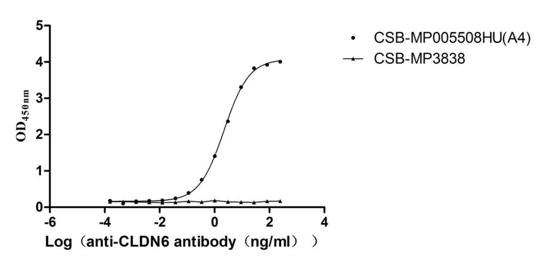 The Binding Activity of Human CLDN6 with Anti-CLDN6 recombinant antibody. Activity: Measured by its binding ability in a functional ELISA. Immobilized Human CLDN6 (CSB-MP005508HU(A4)) at 10 μg/mL can bind Anti-CLDN6 recombinant antibody. The EC<sub>50</sub> is 2.033-2.415 ng/mL. The VLPs (CSB-MP3838) is negative control.