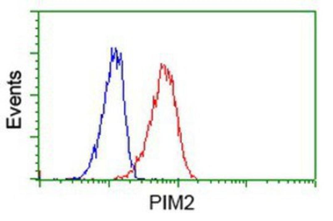 Flow Cytometry: PIM2 Antibody (5D5) [NBP2-02441] - Analysis of Jurkat cells, using anti-PIM2 antibody, (Red), compared to a nonspecific negative control antibody (Blue).