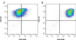 Figure A. Cells stained with Mouse anti Human CD31 and Mouse anti Human CD54