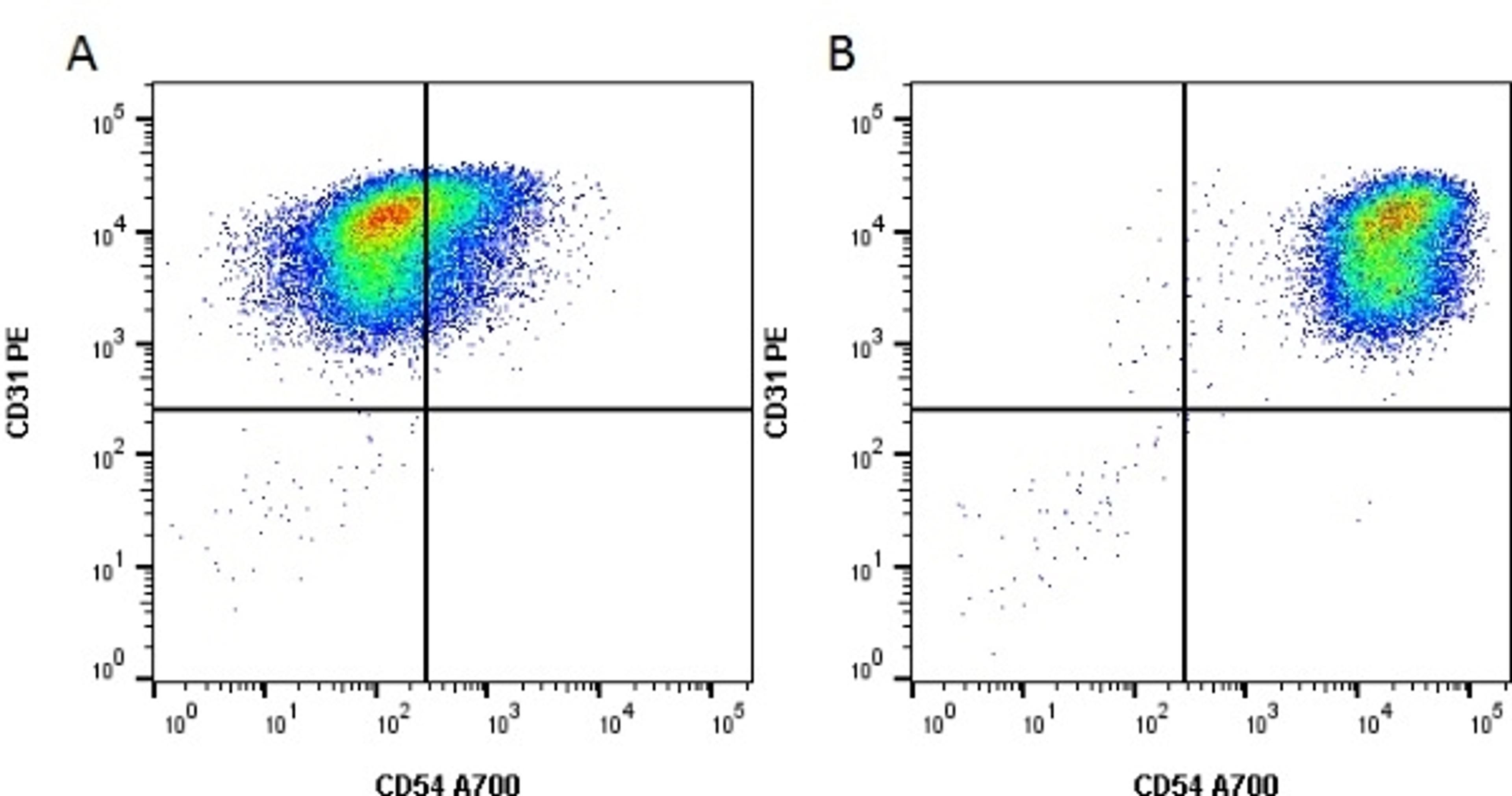 Figure A. Cells stained with Mouse anti Human CD31 and Mouse anti Human CD54