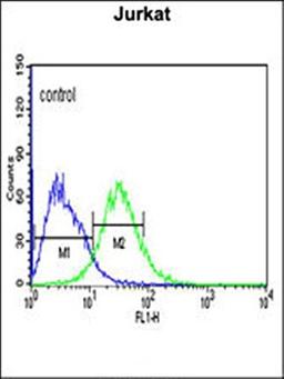 Flow cytometric analysis of Jurkat cells using ADFP antibody