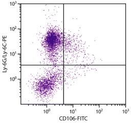 C57BL/6 mouse bone marrow cells were stained with Rat Anti-Mouse CD106-FITC (Cat. No98-545) and Rat Anti-Mouse Ly-6G/Ly-6C-PE .