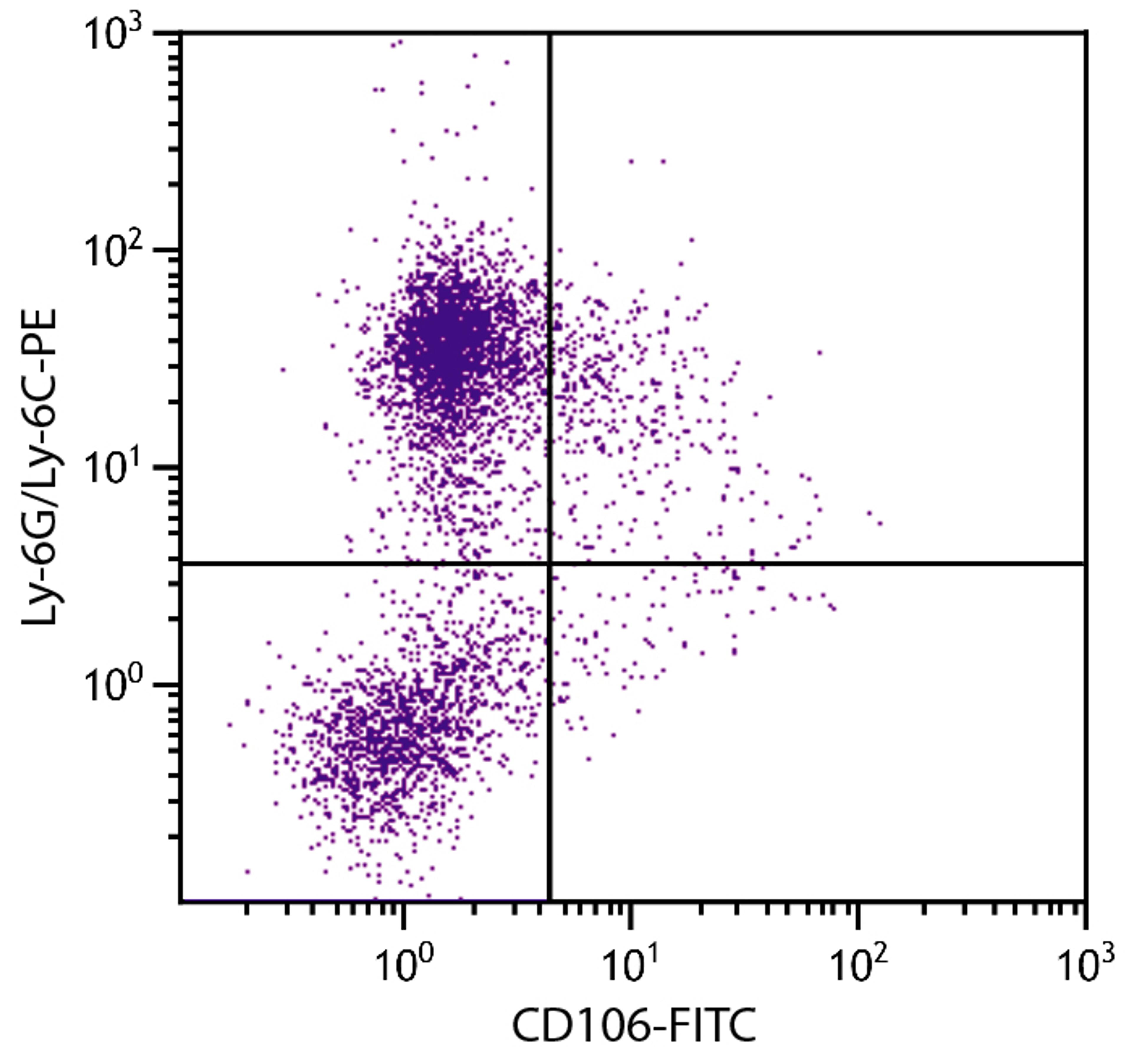 C57BL/6 mouse bone marrow cells were stained with Rat Anti-Mouse CD106-FITC (Cat. No98-545) and Rat Anti-Mouse Ly-6G/Ly-6C-PE .