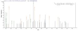 Based on the SEQUEST from database of E.coli host and target protein, the LC-MS/MS Analysis result of CSB-EP010156HUa1 could indicate that this peptide derived from E.coli-expressed Homo sapiens (Human) HBG2.