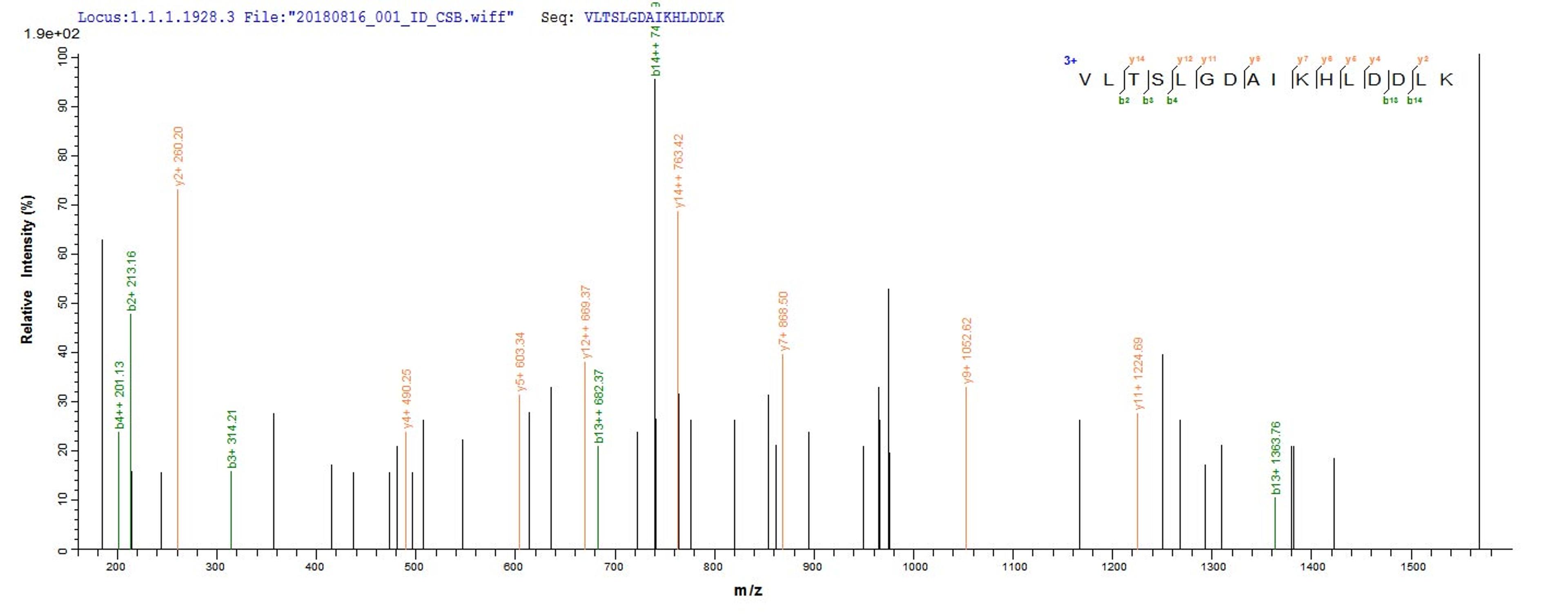 Based on the SEQUEST from database of E.coli host and target protein, the LC-MS/MS Analysis result of CSB-EP010156HUa1 could indicate that this peptide derived from E.coli-expressed Homo sapiens (Human) HBG2.