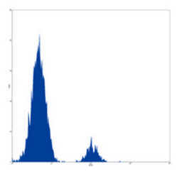 Flow cytometric analysis of human peripheral blood lymphocytes using CD40 antibody (FITC)