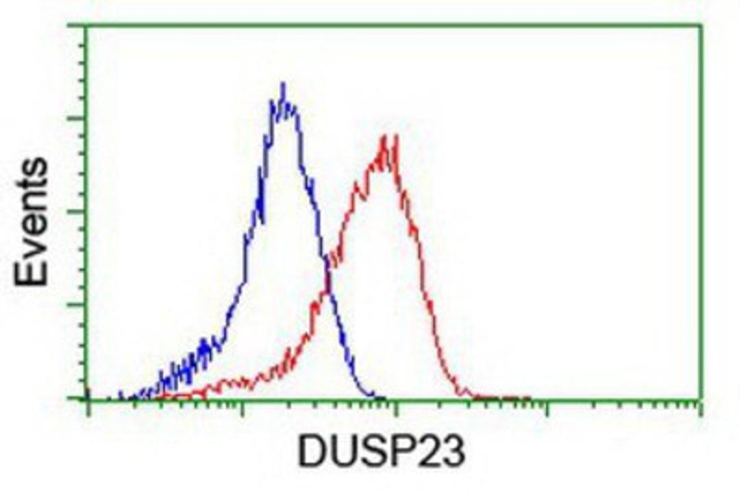 Flow Cytometry: DUSP23 Antibody (3C10) [NBP2-01507] - Analysis of Hela cells, using anti-DUSP23 antibody, (Red), compared to a nonspecific negative control antibody (Blue).