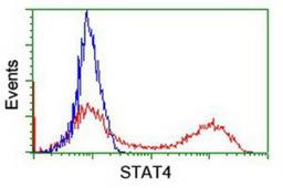 Flow Cytometry: STAT4 Antibody (2F3) [NBP2-00851] - HEK293T cells transfected with either overexpression plasmid (Red) or empty vector control plasmid (Blue) were immunostained by anti-STAT4 antibody, and then analyzed by flow cytometry.