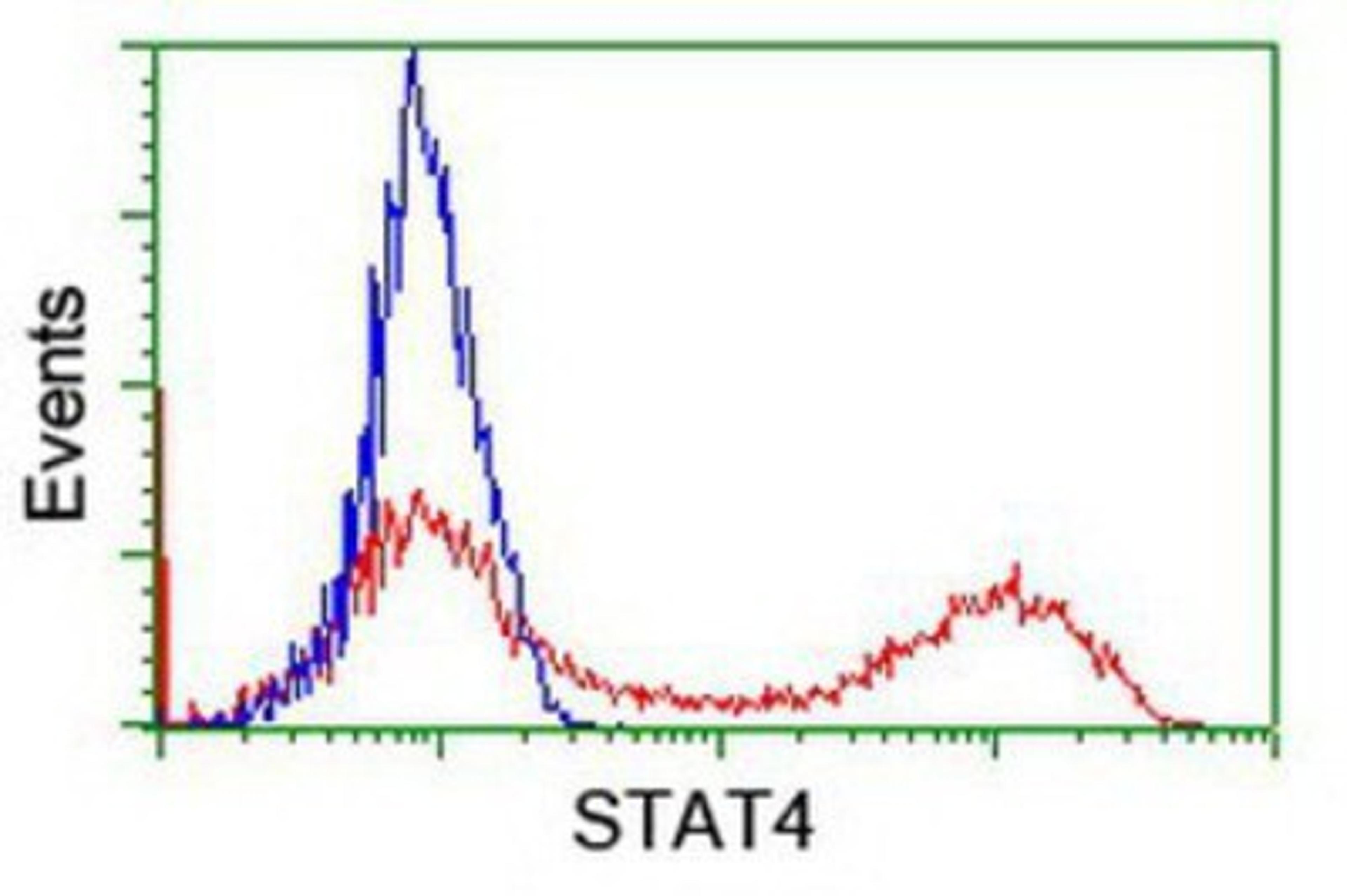 Flow Cytometry: STAT4 Antibody (2F3) [NBP2-00851] - HEK293T cells transfected with either overexpression plasmid (Red) or empty vector control plasmid (Blue) were immunostained by anti-STAT4 antibody, and then analyzed by flow cytometry.