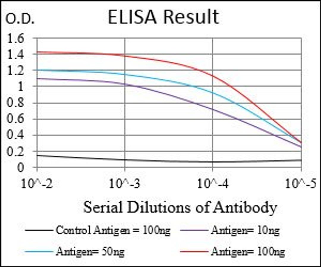 Line graph illustrates about the Ag-Ab reactions using different concentrations of antigen and serial dilutions of PPARGC1B antibody