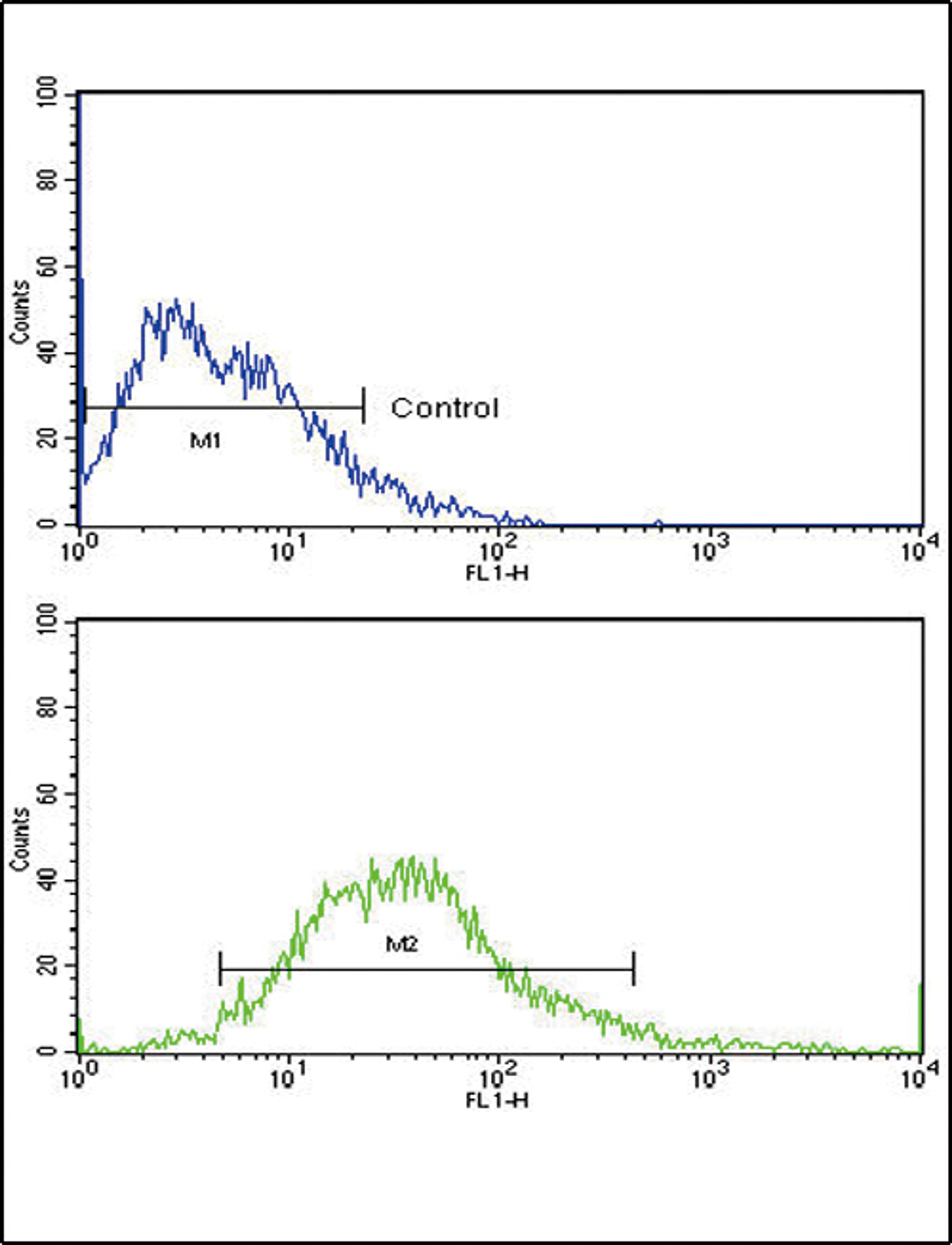 Flow cytometric analysis of MCF-7 cells using FGFR1 Antibody (bottom histogram) compared to a negative control cell (top histogram). FITC-conjugated goat-anti-rabbit secondary antibodies were used for the analysis.