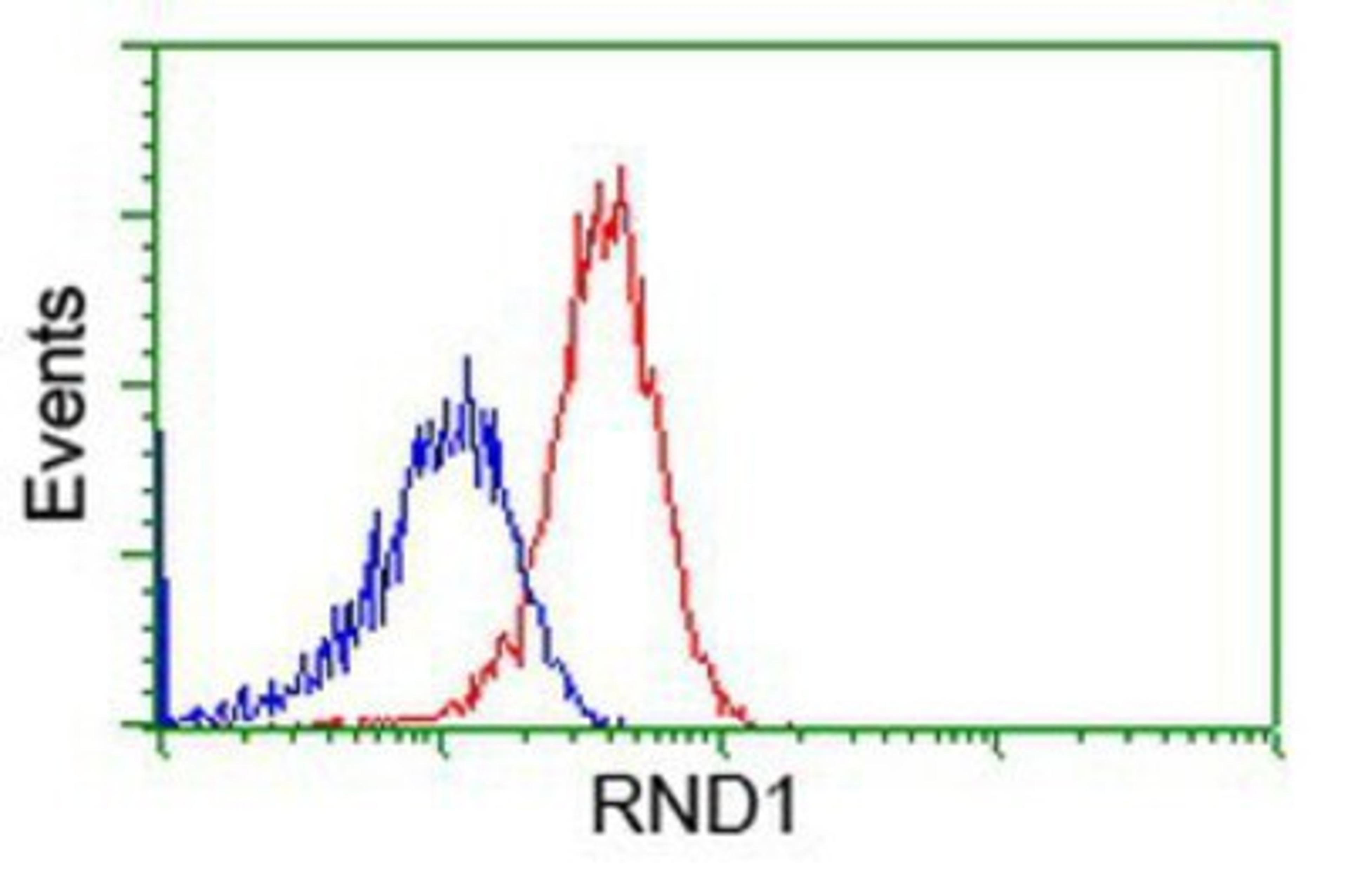 Flow Cytometry: RND1 Antibody (1C3) [NBP2-03000] - Analysis of Hela cells, using anti-RND1 antibody, (Red), compared to a nonspecific negative control antibody (Blue).