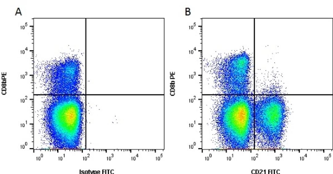 Figure A. Mouse anti Bovine CD8b. Figure B. Mouse anti Bovine CD8b and Mouse anti Bovine CD21.