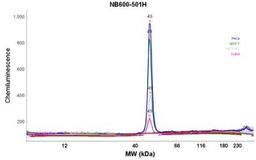 Flow Cytometry: beta-Actin Antibody (AC-15) [NB600-501] - Analysis using the HRP conjugate of NB600-501. Electropherogram image(s) of corresponding Simple Western lane view. Beta-Actin antibody was used at 1:500 dilution on Hela, MCF-7, SH-SY5Y, & Jurkat lysate(s).