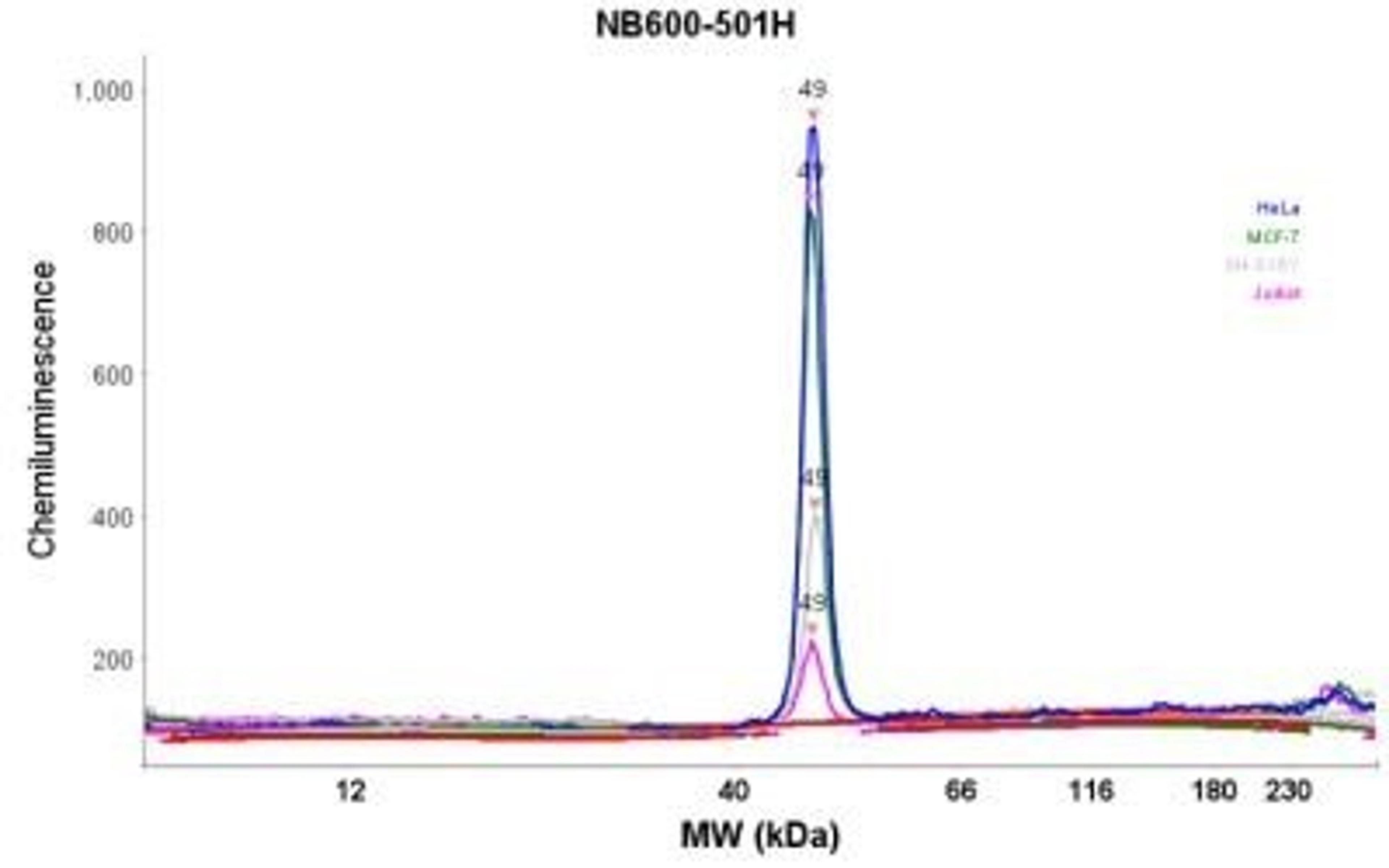 Flow Cytometry: beta-Actin Antibody (AC-15) [NB600-501] - Analysis using the HRP conjugate of NB600-501. Electropherogram image(s) of corresponding Simple Western lane view. Beta-Actin antibody was used at 1:500 dilution on Hela, MCF-7, SH-SY5Y, & Jurkat lysate(s).