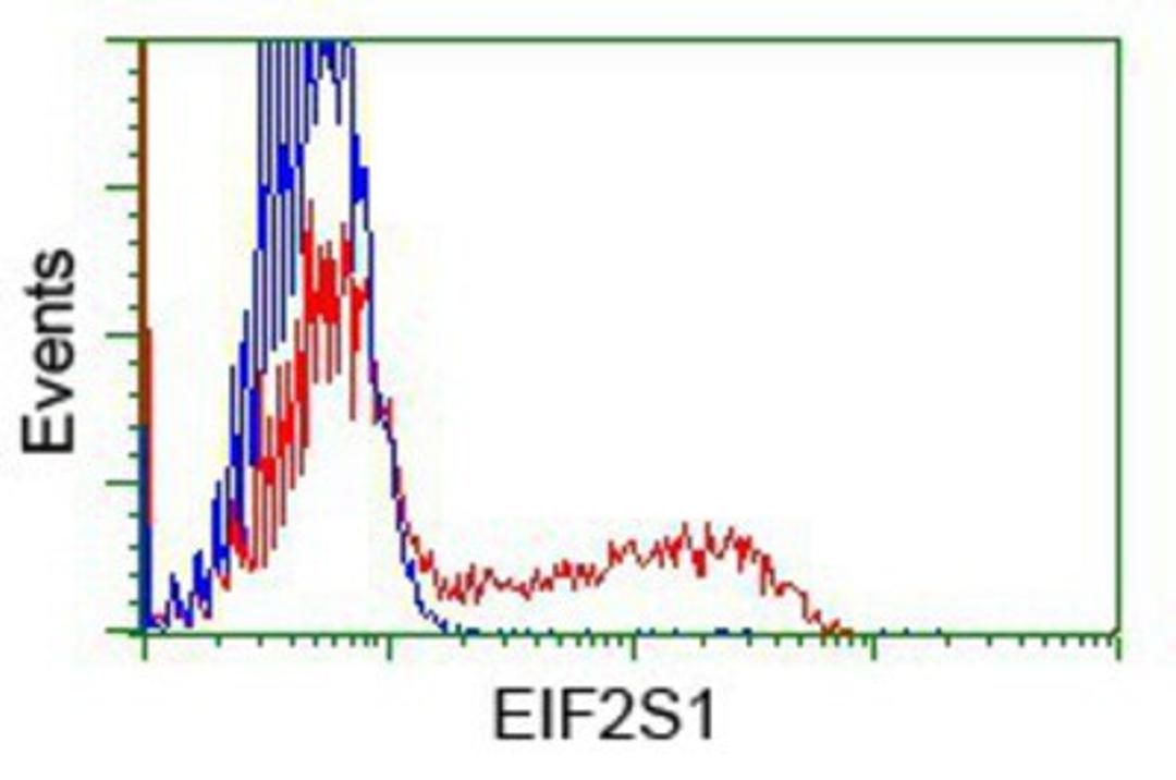 Flow Cytometry: EIF2S1 Antibody (3H4) [NBP2-02669] - HEK293T cells transfected with either overexpression plasmid (Red) or empty vector control plasmid (Blue) were immunostained by anti-eIF2A antibody, and then analyzed by flow cytometry.