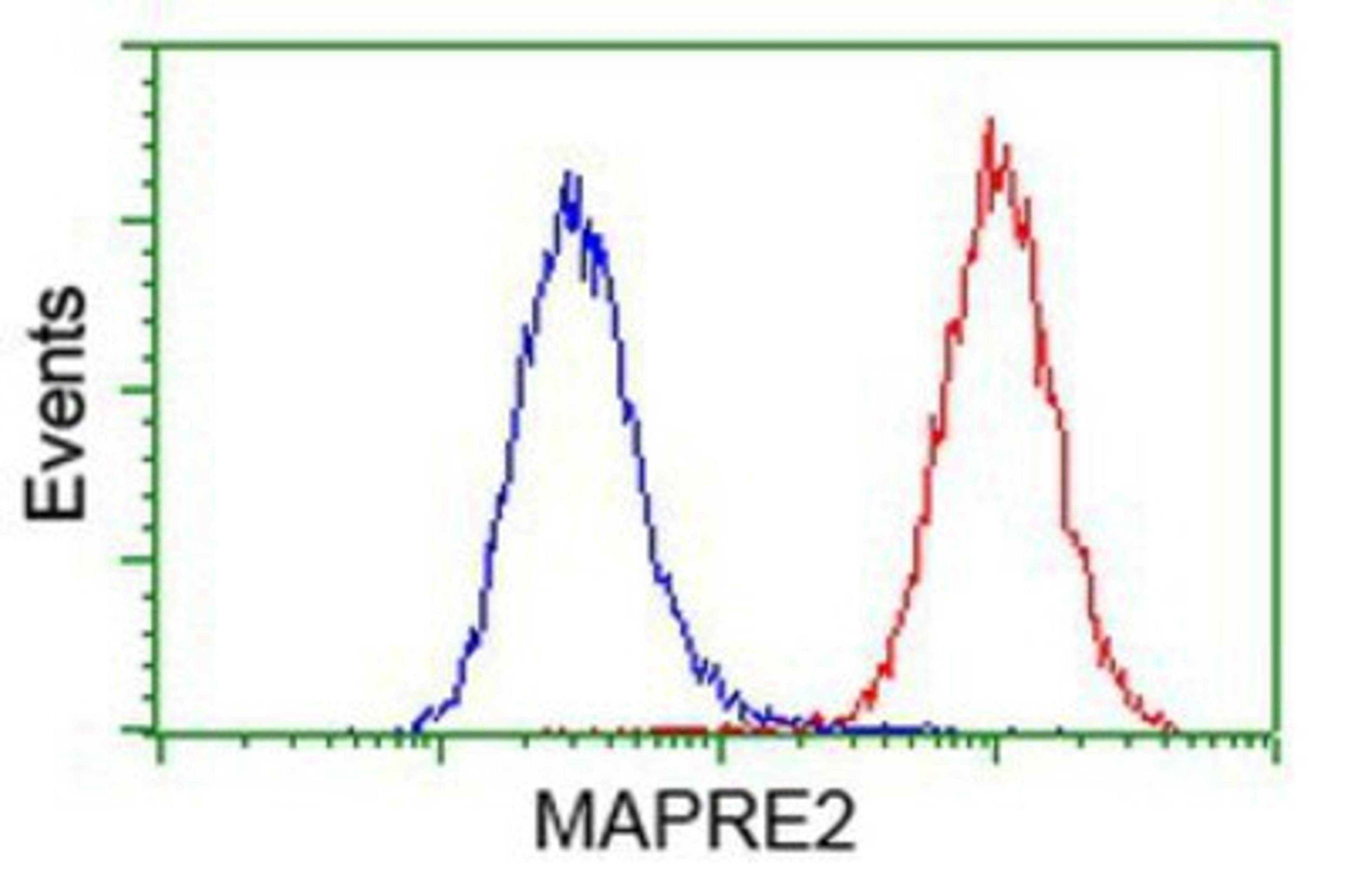 Flow Cytometry: EB2 Antibody (1F3) [NBP2-00714] - Analysis of Hela cells, using anti-EB2 antibody, (Red), compared to a nonspecific negative control antibody (Blue).