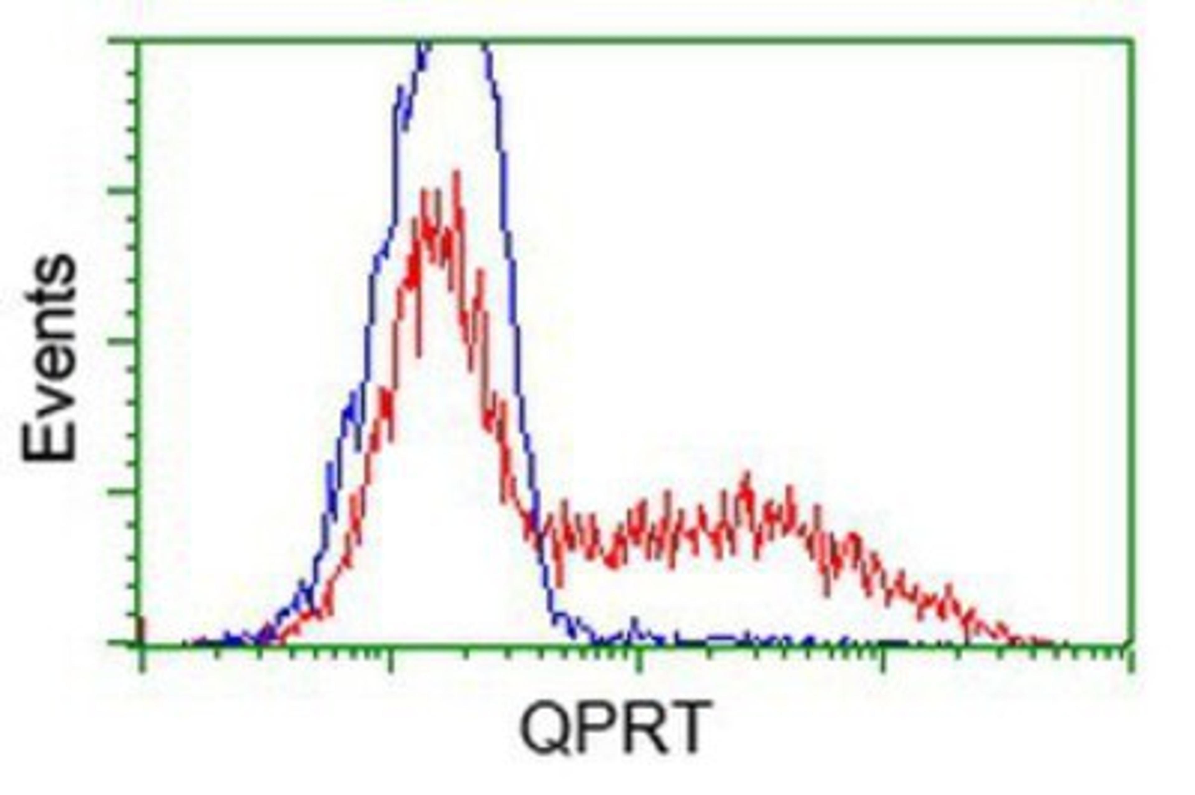 Flow Cytometry: QPRT Antibody (1C10) [NBP2-02860] - HEK293T cells transfected with either overexpression plasmid (Red) or empty vector control plasmid (Blue) were immunostained by anti-QPRT antibody, and then analyzed by flow cytometry.