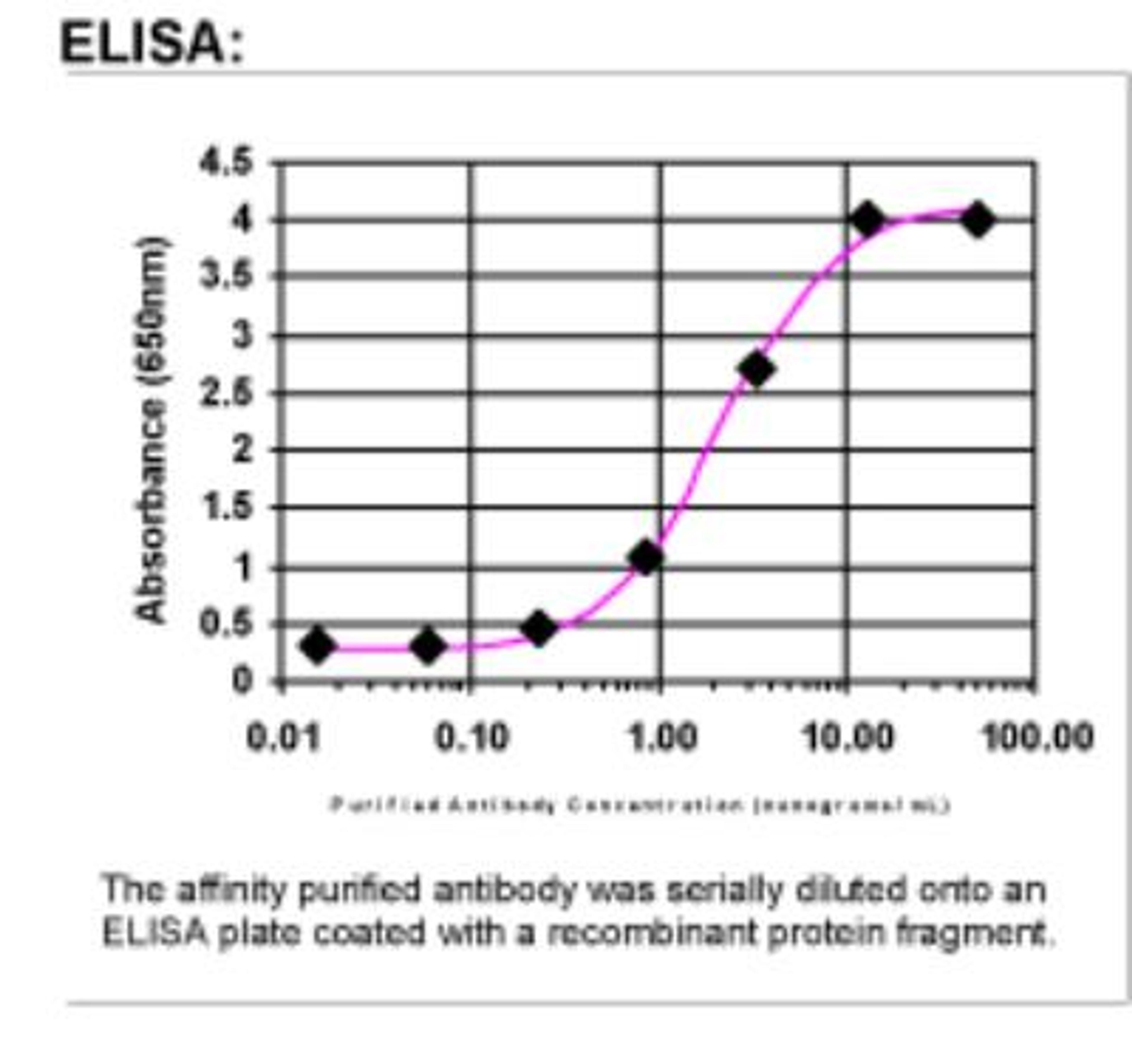 ELISA: BACE-2 Antibody [16520002] - Affinity Purified